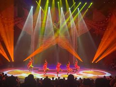 -珠海横琴长隆《卡卡虎奇遇记》