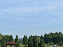 -宜兴龙背山森林公园