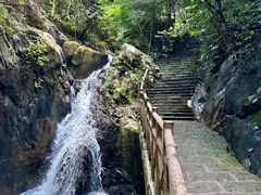 -广州市流溪河国家森林公园