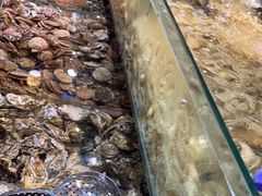-港畔赶海蒸汽海鲜烧烤自助(仙螺岛店)