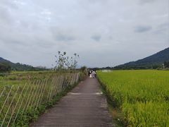 -艾米稻香小镇