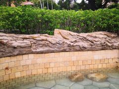 -青岛香根温泉酒店
