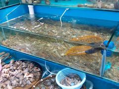 -港畔赶海蒸汽海鲜烧烤自助(仙螺岛店)