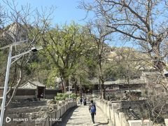 -北京凤凰岭