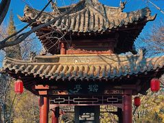 -碑林公园