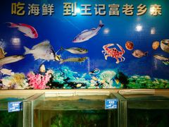 android_upload_pic-老东营·东营菜(西四路店)