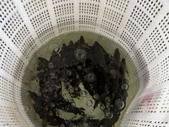 -楚鱼王·河鲜·湖北菜(华农店)