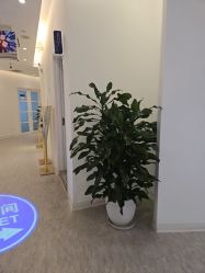 点击看大图 -天津伊美尔医疗整形美容专科医院