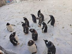 -长春中泰海洋世界