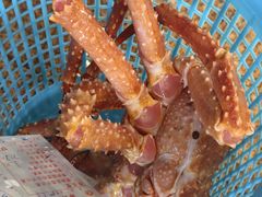 -荔城生鲜盛宴(番禺旗舰店)