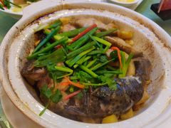 -清心鸡沙田乳鸽店·非遗传承(石溪店)