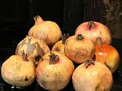 -古今茶语·峨眉山有机茶体验馆