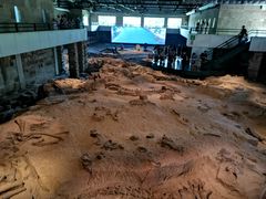 -自贡恐龙博物馆