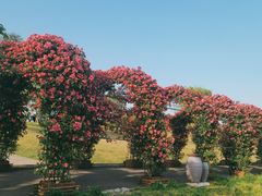 -广富林郊野公园