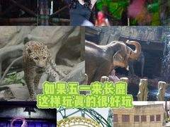 -长鹿旅游休博园