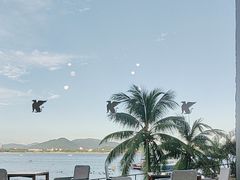 -雾山韩式烤肉·海南糟粕&椰子鸡火锅·海景餐厅(三亚绿发山海天JW万豪酒店)