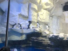 -华夏文旅海洋公园