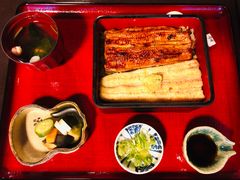 -料亭菊水楼