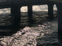 -演武大桥观景平台