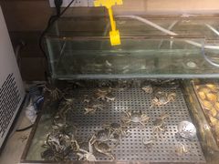 -蒙肥羊·酸汤潮牛·鲜牛肉火锅烤肉自助(岗顶店)