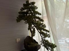 -上足·影院足道·SPA(红岭店)