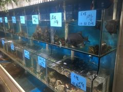 水产区-鑫悦楼煎蟹·16年海鲜大排档