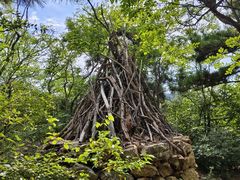 -棒棰岛宾馆景区