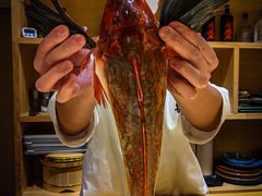 -镹·鱼料理  国产鱼使用店