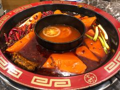 -蜀辣居鲜货老火锅(红牌楼店)