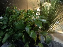-仟汇足道·SPA(秀洲总店)