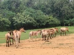 -杭州野生动物世界