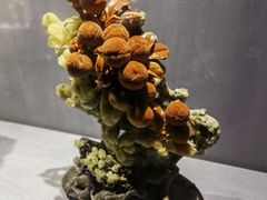 -青田石雕博物馆