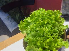 -杨记齐齐哈尔烤肉(总店)