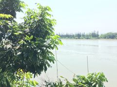 -勒南公舍(龙江店)
