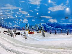 -世界之窗阿尔卑斯冰雪世界