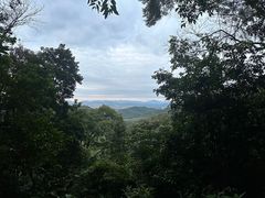 -黄埔油麻山森林公园
