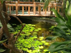 -北京植物园-展览温室