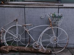 -合肥滨湖国家森林公园