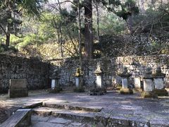 -天目山大树王景区