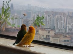 -龙头寺公园