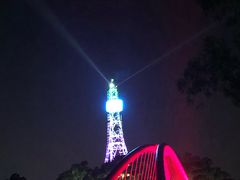 -金鸡山公园