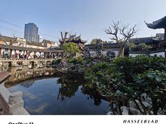 -豫园