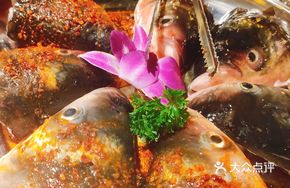 Signature Fish Head (Medium)