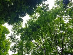 -天鹅湖体育公园