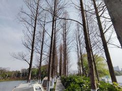 -金银湖国家城市湿地公园