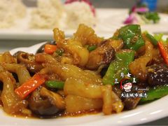 烧蹄筋-添福来墨鱼饺子 · 海鲜东北菜(泡崖店)