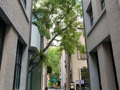 -徐家汇源景区-衡山坊
