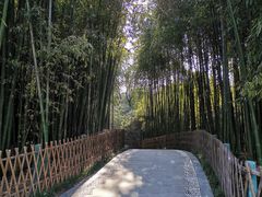 -宝鸡植物园