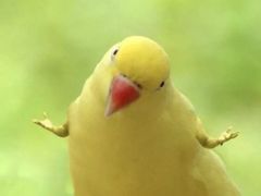 -李先生的首尔小馆(松江启源广场店)