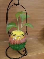 -爱贝蕊恩韩式月子会所(宝安店)